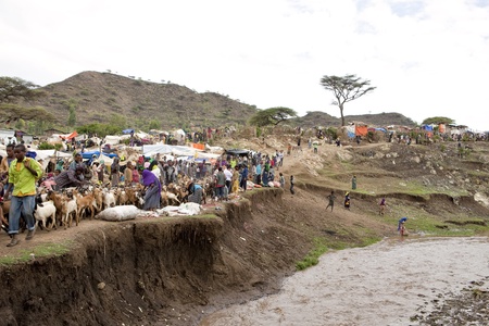 sembete, ethiopia, july 31, 2011 - various ethnic groups like the afar, oromo and amara, gather at the weekly market to sell their products sembete and animals.のeditorial素材