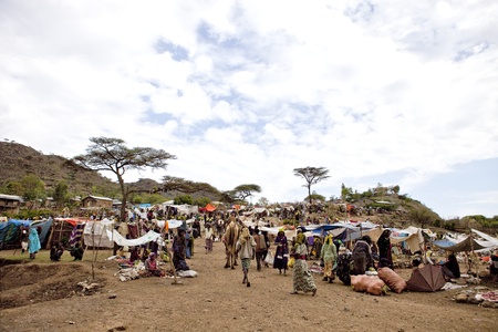 sembete, ethiopia, july 31, 2011 - various ethnic groups like the afar, oromo and amara, gather at the weekly market to sell their products sembete and animals.のeditorial素材