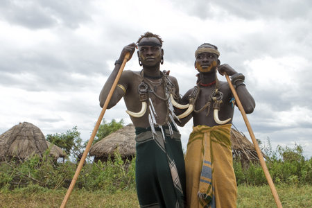 omo valley, ethiopian, august 11, 2011 - men of the mursi ethnic, ethnic omo valley may lose their...