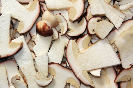 Porcini ready to cookの写真素材