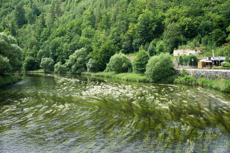 Saale in the village Ziegenrueckの写真素材