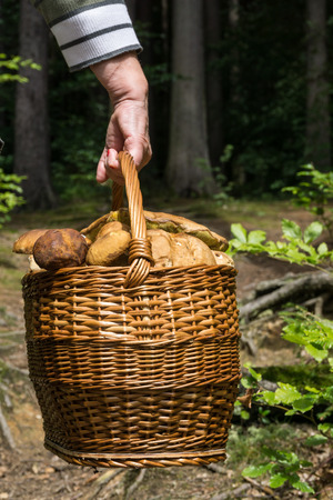 Basket with mushroomsの写真素材