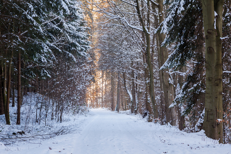Hiking trail in the Schwarza Valleyの写真素材