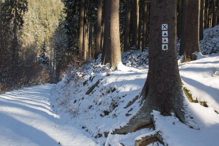 Hiking trail in the Schwarzatalの写真素材
