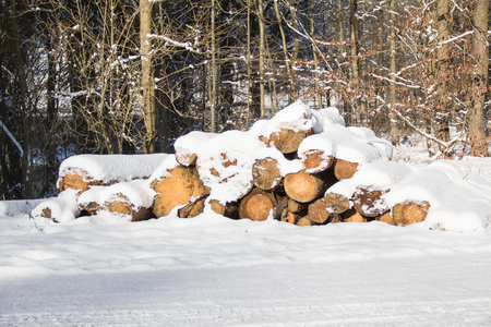 Wooden pile in winterの写真素材