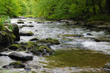 Blacka in the Black Valleyの写真素材
