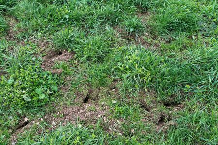 Soil damage in agricultureの写真素材