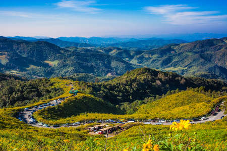 Mountain yellowの写真素材