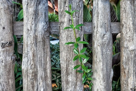 Wood railの写真素材