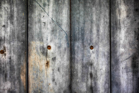  Wood texture backgroundの写真素材