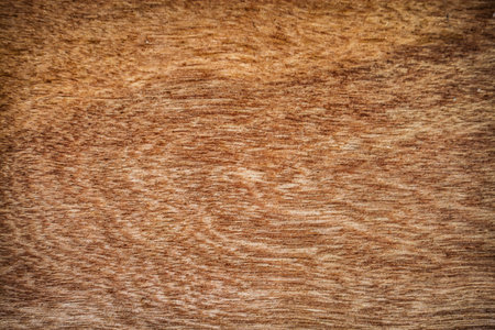  Wood texture backgroundの写真素材