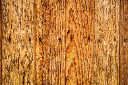  Wood texture backgroundの写真素材