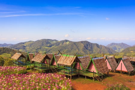 Summer in in the thailandの写真素材