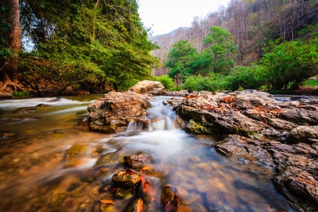 Beautiful Lush Waterfallの写真素材