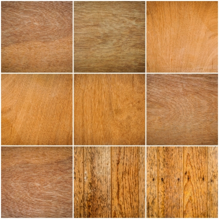 collection of natural background,Old wood texturesの写真素材
