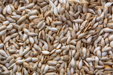 pumpkin seedsの写真素材