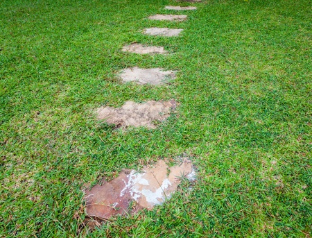 Stone walkway in the park with green grassの写真素材