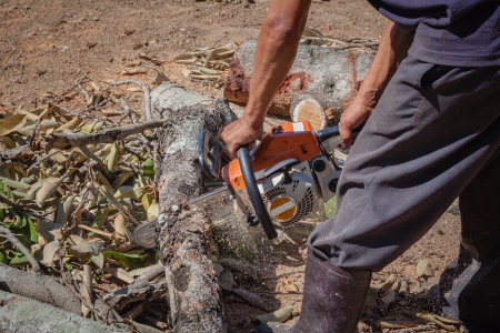Man is use chainsaw blade cutting log of woodの写真素材