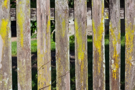old wooden fence in gardenの写真素材