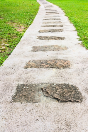 Stepping Stone Path in a Beautiful Green Gardenの写真素材