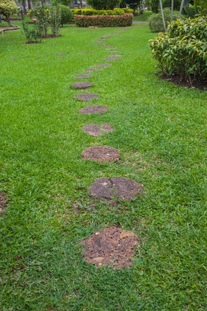 Step Stone Pathway in a Lush Green Parkの写真素材