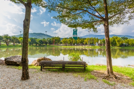 Old Chair and Pond in the garden on summer dayの写真素材