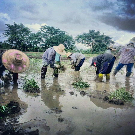 farmers at workの素材