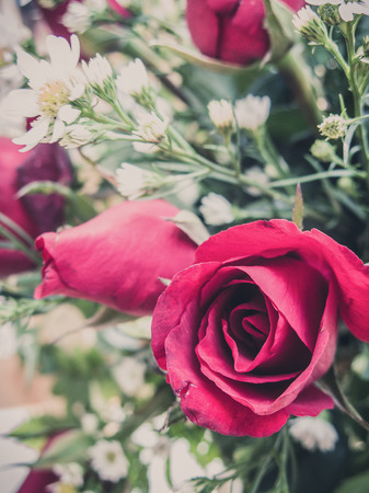 Red roses bouquet for vintageの写真素材
