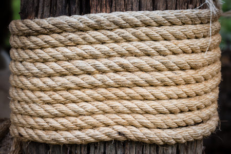 old rope and wood texture 
