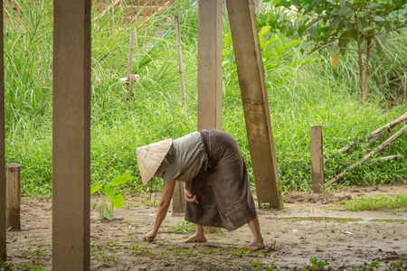 woman farmer on filed in vangvieng, laos.の写真素材