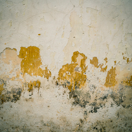 grunge cement crack wall background and textureの写真素材