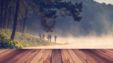 Wood floor amd blur motiom , This morning at Pang Ung Forestry Plantations in winter ,Maehongson, North of Thailandの写真素材