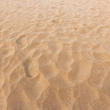 Sand texture and backgroundの写真素材