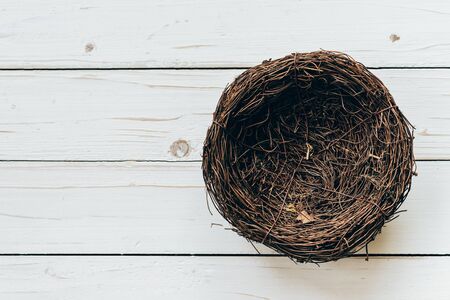 Blank nest on wood background with spaceの写真素材