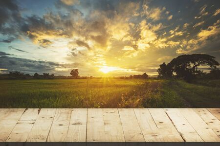 Wood table and rice field and sunset blue sky with lens flare, display montage for product.の写真素材