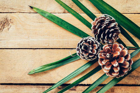 Pine cone on wood table background with space.の写真素材