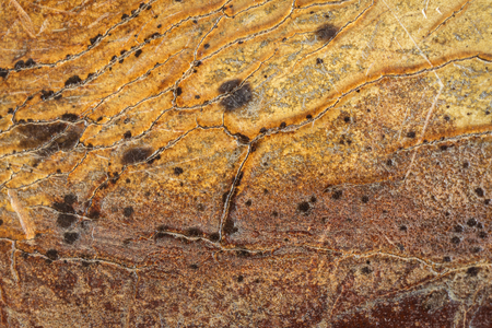 Close up Old brown leather texture and backgroundの写真素材