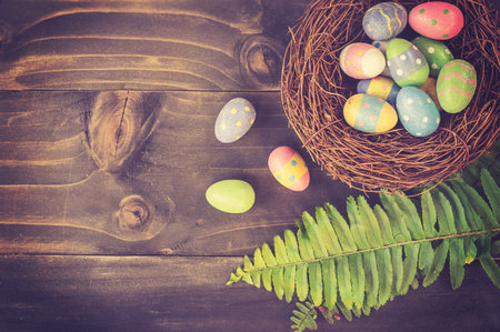 Colorful easter eggs in neat and green leaf on plank wooden background with space.