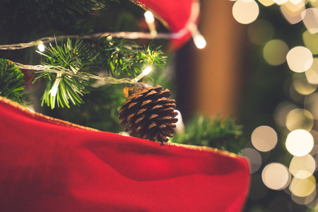 Closeup of christmas pine cones hanging from Christmas tree.の写真素材