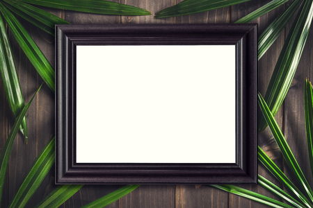 Top view wood frame and green leaf palm topical on wood background.の写真素材