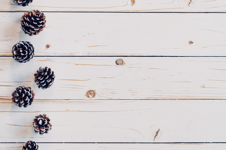 Pine cones on rusticwood white background with copy space,の写真素材