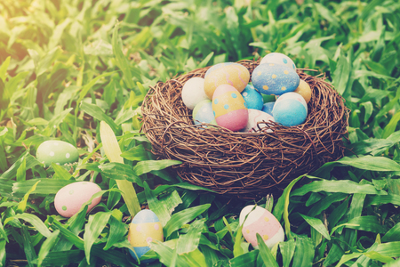 Colorful easter eggs and nest on green grass with sunlight. vintage toned.の写真素材