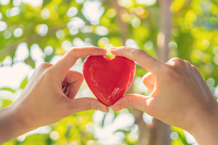 Woman hand holding red heart shape on green natural background in the garden outdoorの写真素材