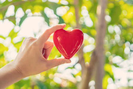 Woman hand holding red heart shape on green natural background in the garden outdoorの写真素材