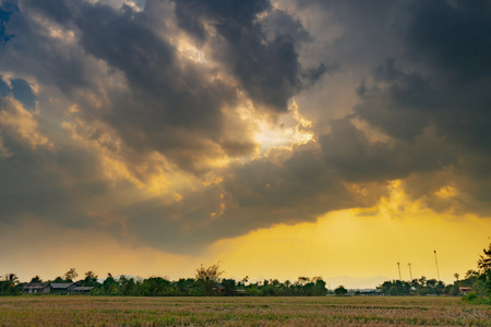Field agriculture and rain clouds with sunraysの写真素材