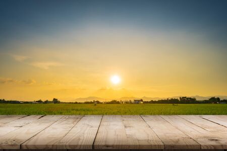 Rice field sunset and Empty wood table for product display and montage.の写真素材