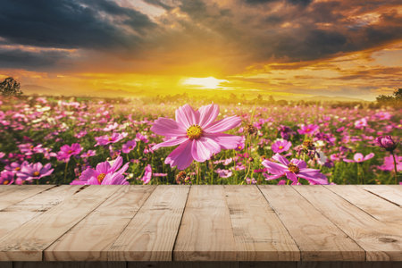 Wooden table and cosmos flower field meadow with display montage for product.