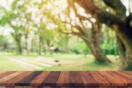 Empty wood table and defocused bokeh and blur background of garden trees in sunlight. display montage for product.の写真素材