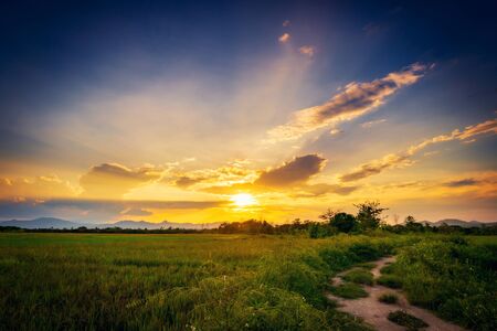 Landscapse of Field meadow and beautiful sunsetの写真素材