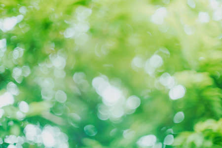 Abstract green bokeh blur backgroundの写真素材